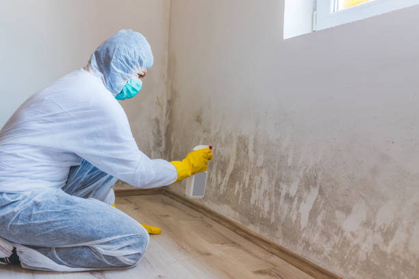 Hvac And Air Duct Mold Remediation inspection of HVAC system in Cape Coral