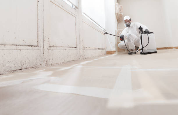 Post-remediation clearance in Cape Coral