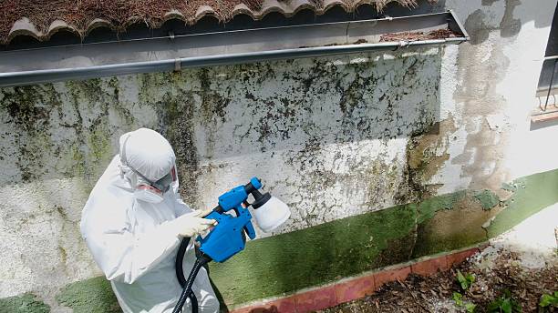 Mold Removal service in Cape Coral